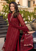 Embroidered Chiffon Suit