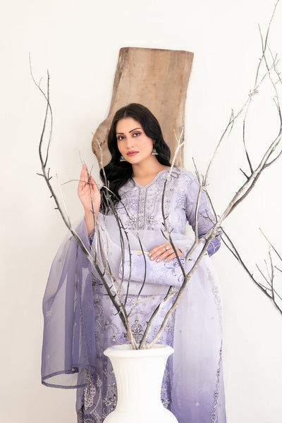 Tawakkal Fabrics 3-Piece Stitched Organza Collection –