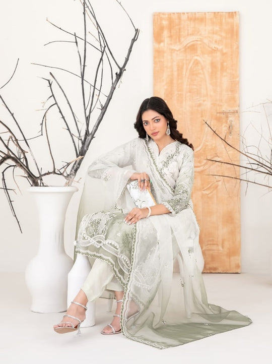 Tawakkal Fabrics 3-Piece Stitched Organza Collection –