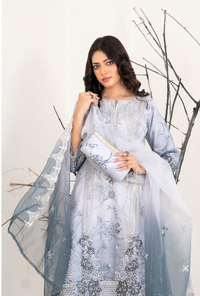 Tawakkal Fabrics 3-Piece -Stitched Organza Collection