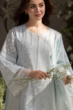 3 Piece Lawn - Ready To Wear